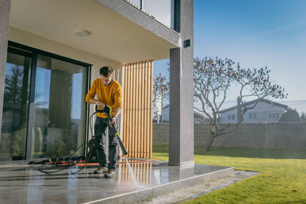 Best Pre-Holiday Cleaning  in Arcola, TX
