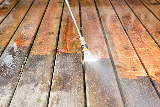 Best Solar Panel Cleaning  in Arcola, TX